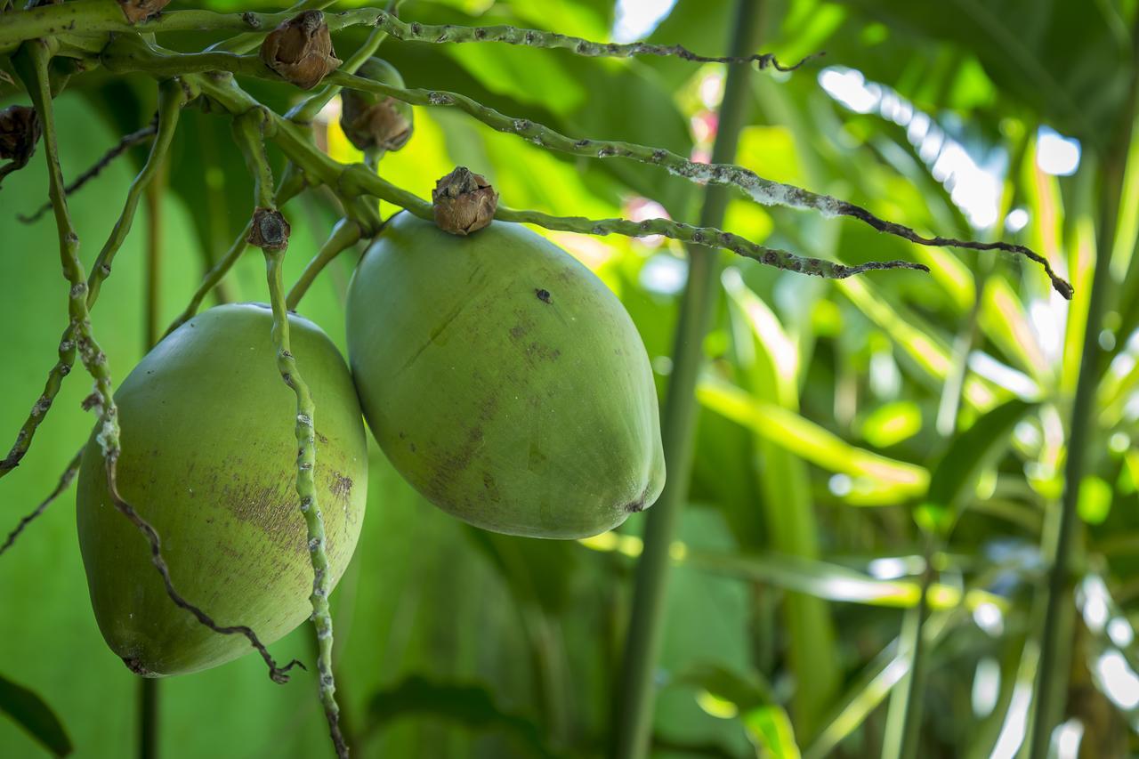 Pousada Camila Paraty Ngoại thất bức ảnh