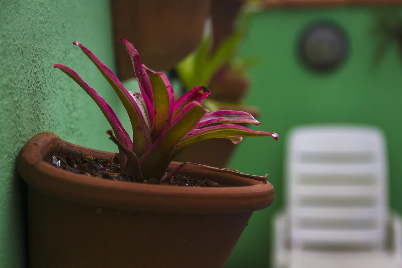 Pousada Camila Paraty Ngoại thất bức ảnh